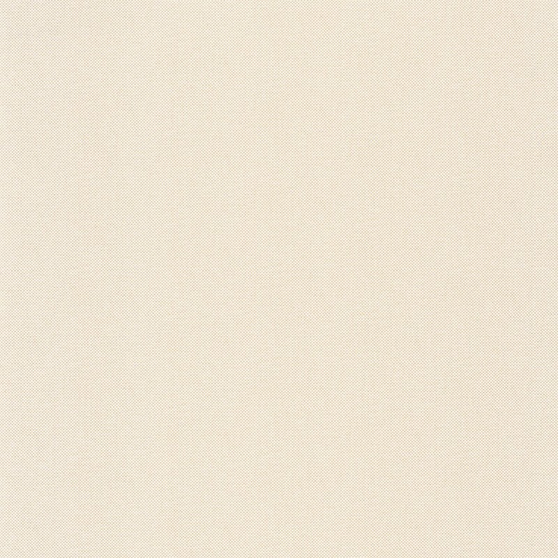 Papel pintado Caselio Natté Uni Métallisé NAE101570026