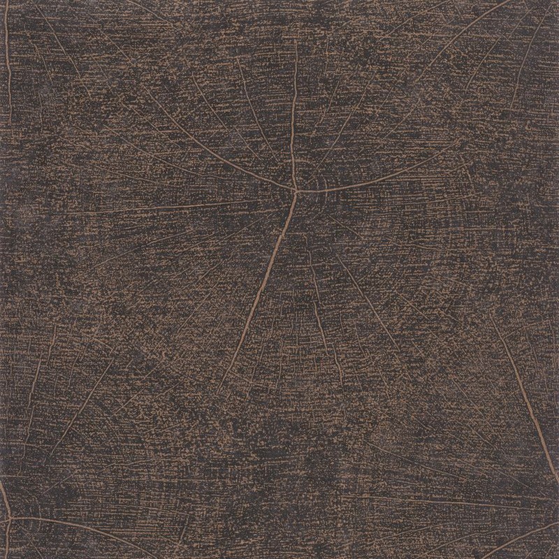 Papel pintado Casadeco Natura Winter NTRA83769414