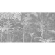 Living Things MU11024 Muance Mural