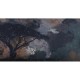 Galaxy Nights MU11059 Muance Mural