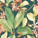 Delicacy Birdsong DELY 8538 72 89 Papel pintado