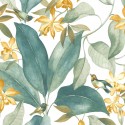 Delicacy Birdsong DELY 8538 71 71 Papel pintado
