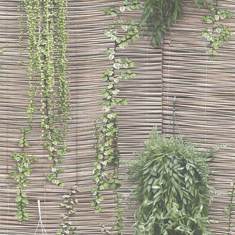 Papel pintado Saint Honoré Fresh Kitchens VI 1210-3851