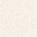 Annuel Plain Concrete 61001 Papel pintado Midbec
