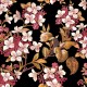 Papel pintado Coordonné Metamorphosis florwery 8800043