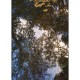 Mural decorativo Casadeco Riverside III Charmille  RVSD85341547