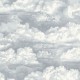 	Papel pintado Riverside III Nuage RVSD85306546