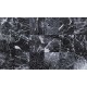 Papeles pintados Architexture M23077