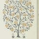 Caspian Anaar Tree 216791