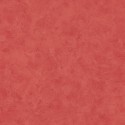 Patine PAI 10022 80 80 Uni Caselio