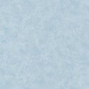Patine PAI 10022 66 03 Uni Caselio