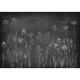 Mural Coordonné Instant Wild chalk 8500102