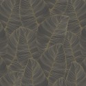 Graphite de Casa Mia RM91606  Kemen