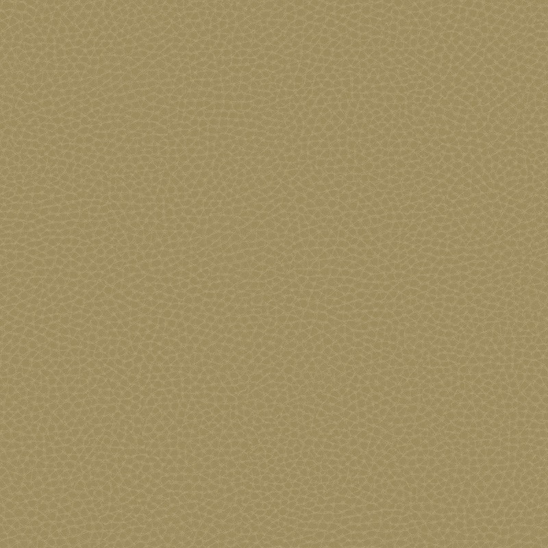 Papel pintado Carl Robinson 17 Loft CR83005