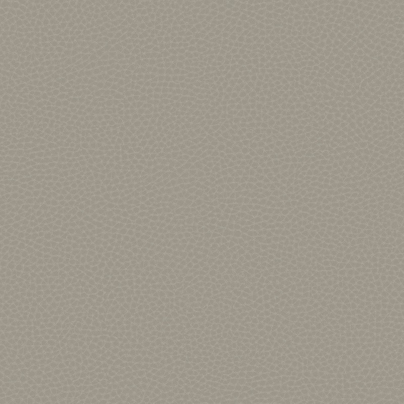 Papel pintado Carl Robinson 17 Loft CR83008