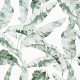 Papel pintado PDC Legends B21038