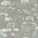 Papel pintado de Botanical Dream de Candice Olson NA0541