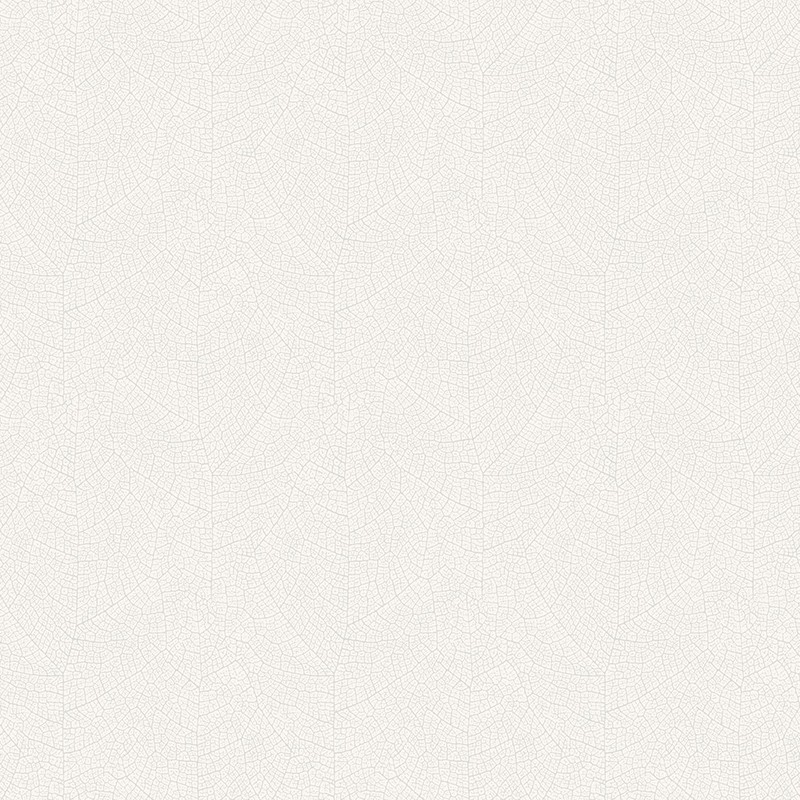 	Papel pintado Casadeco Woods Nervure WOOD26210113