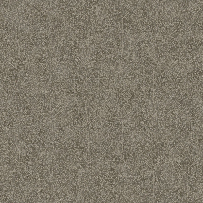 Papel pintado Casadeco Woods Nervure WOOD26219128