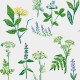 Papel Pintado Scandinavian Designers II  1789