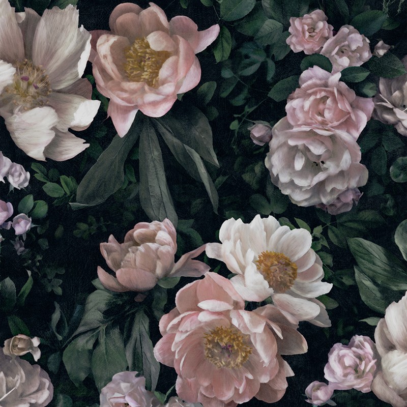 New Down Rose In Bloom 7234 Papel Pintado