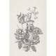 Mural ESTAhome Blush 149-158887