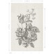 Mural ESTAhome Blush 149-158887