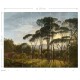 Mural ESTAhome Blush 149-158891