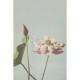 Mural ESTAhome Blush 149-158890