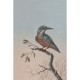 Mural ESTAhome Blush 149-158888