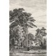 Mural ESTAhome Blush 149-158886