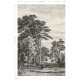 Mural ESTAhome Blush 149-158886