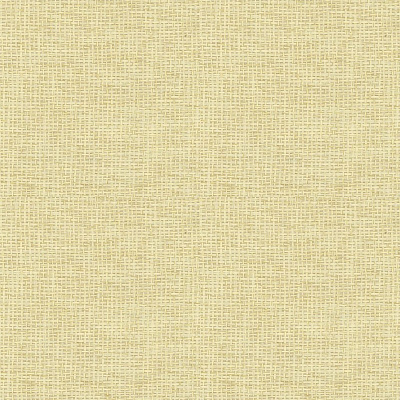 Papel japonés Coordonné Piece Unique Raffia 9100017