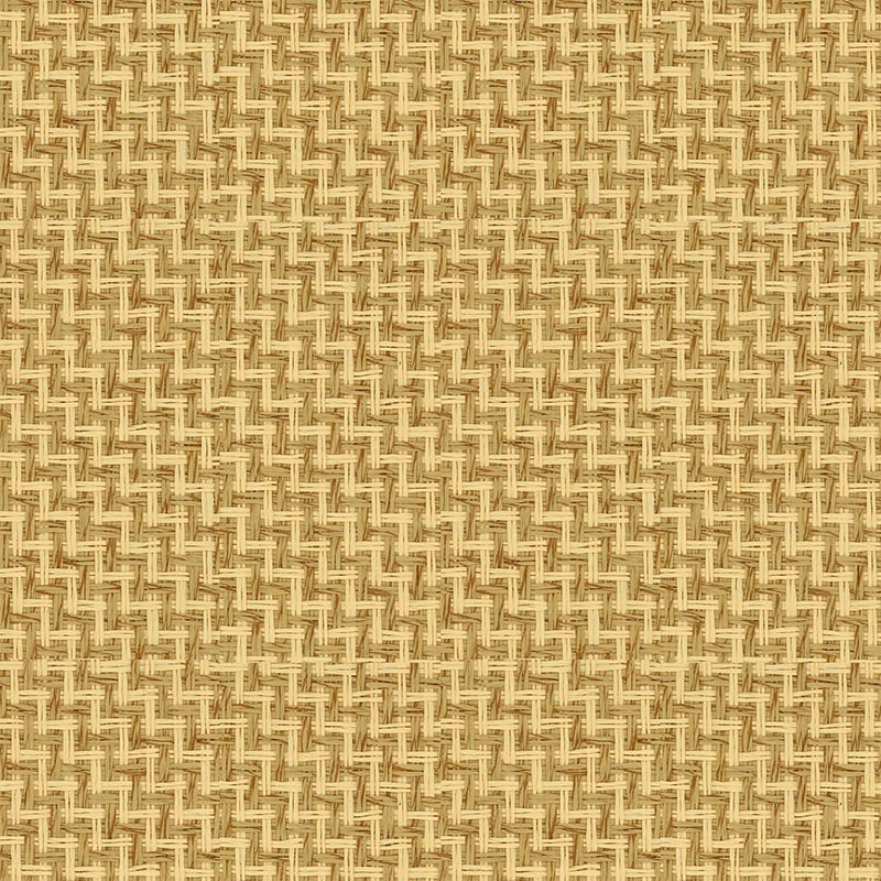 Papel japonés Coordonné Piece Unique Raffia 9100004
