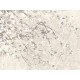Papel pintado La Maison Fuji Blossom Season FUJ412 DX