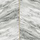 Papel Pintado Wallquest Charleston CN31700