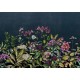 Naturae Papel Pintado Coordonné 9500401