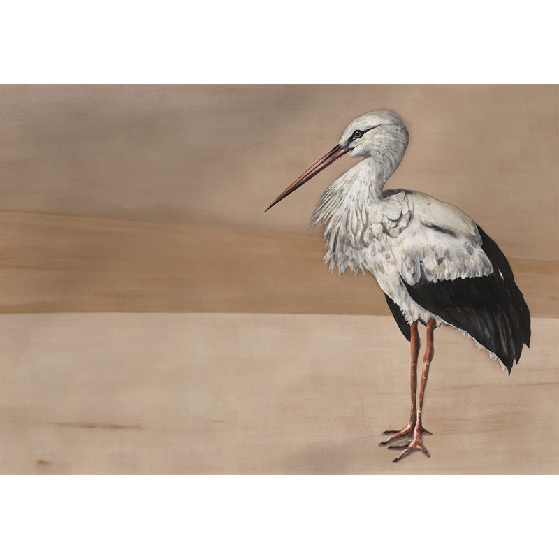 Naturae Papel Pintado Coordonné 9500301