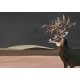 Naturae Papel Pintado Coordonné 9500200