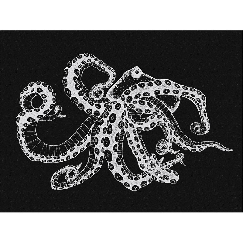 Naturae Papel Pintado Coordonné 9500802