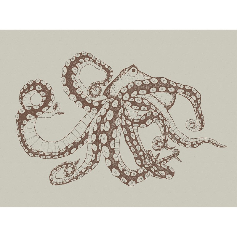 Naturae Papel Pintado Coordonné 9500801