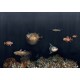 Naturae Mural Coordonné 9500501