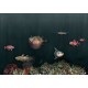 Naturae Mural Coordonné 9500500 