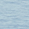 Navy, grey & white BL71312 Papel pintado