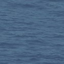 Navy, grey & white BL71322 Papel pintado