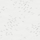 Papel pintado Wallquest Navy, grey & white BL70418