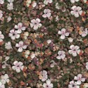 Naturae 9500003 Papel Pintado Coordonné