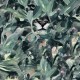 Naturae Papel Pintado Coordonné 9500012