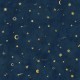 Mural Decorativo Sandberg Löfstad Starry 659-96