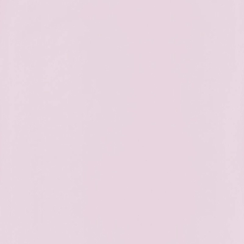Papel Pintado Caselio Beauty Full Image Uni BFIM29694204